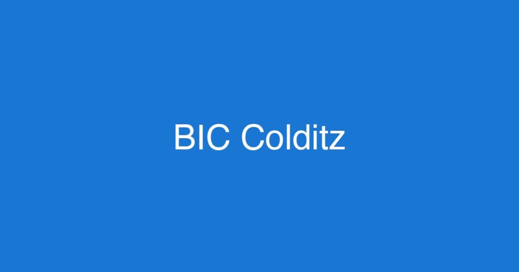 Hauptausschuss Colditz Februar 2026 – Wasserschäden in Schulen und Radwege-Diskussion
